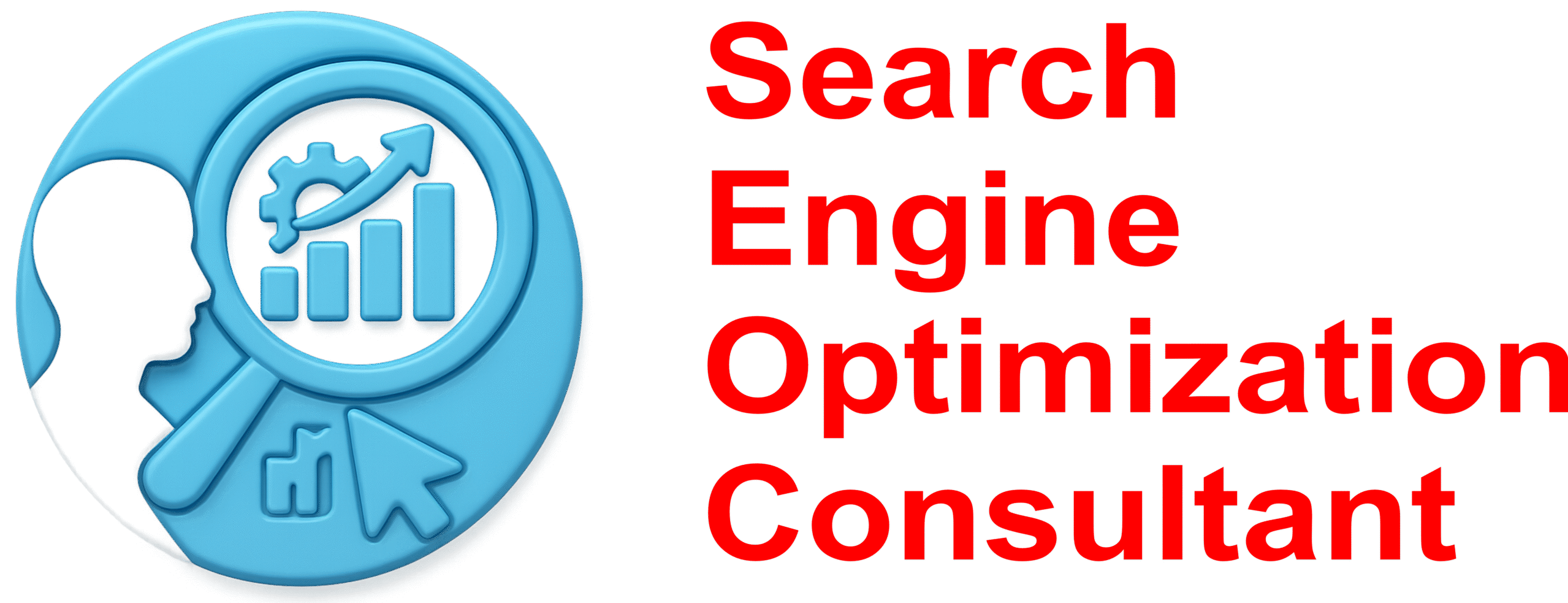 Search Engine Optimization Consultant